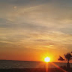 Meet your Posher, Shellie